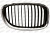 PRASCO BM1012003 Radiator Grille